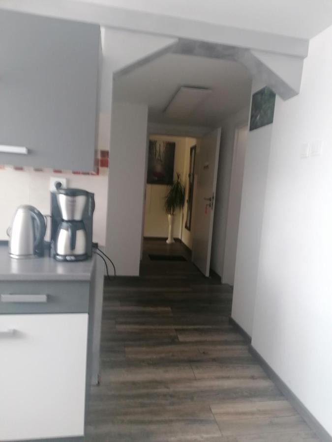 Ferienwohnung Andreea Saarlouis Εξωτερικό φωτογραφία